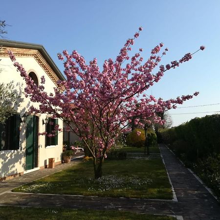 Casa Pianta Hotell Cavallino-Treporti Eksteriør bilde