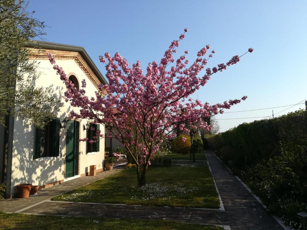 Casa Pianta Hotell Cavallino-Treporti Eksteriør bilde